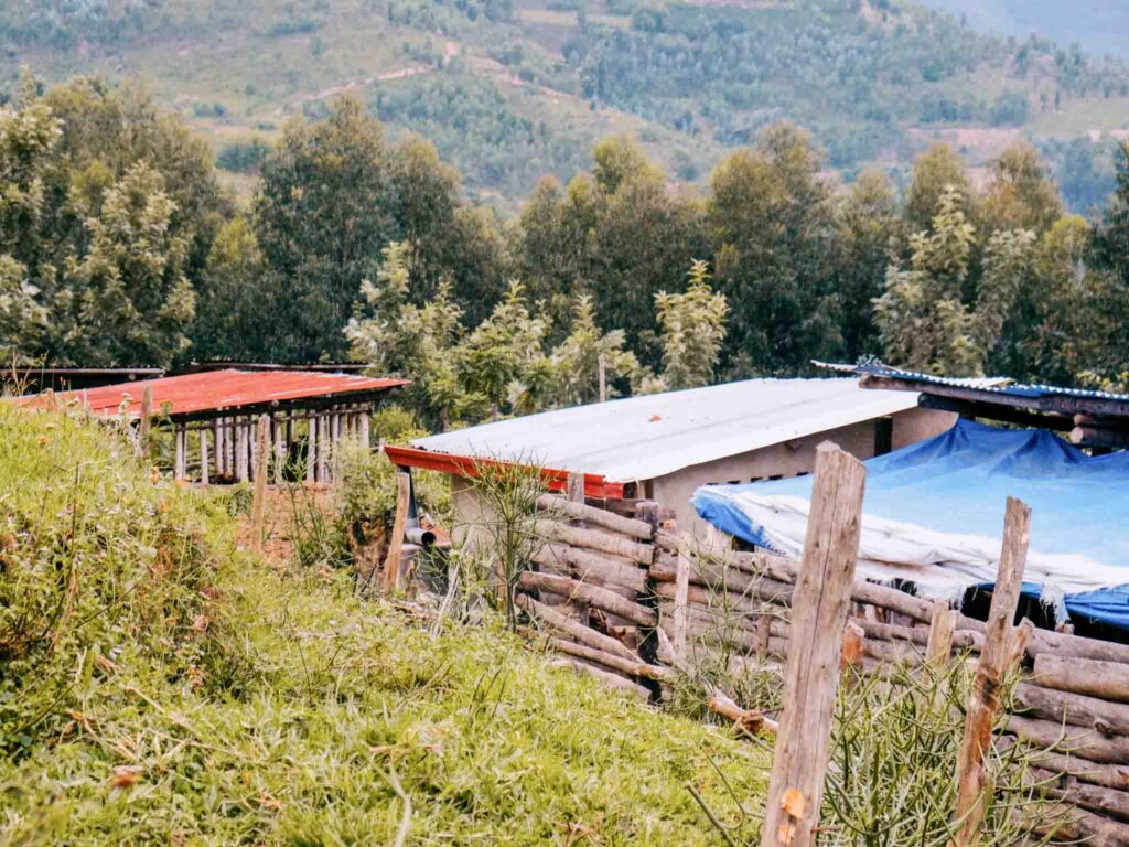 En este post puedes encontrar una receta de V60 fácil de hacer en casa con nuestro nuevo Ruanda Gitega Hills.