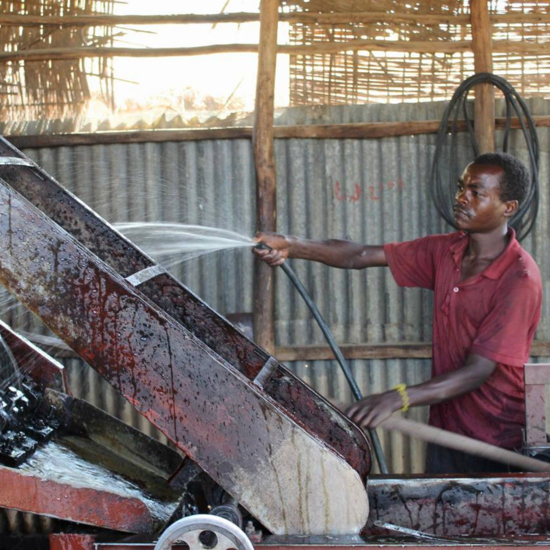 Etiopía Solomon <br> Lavado <br> Espresso