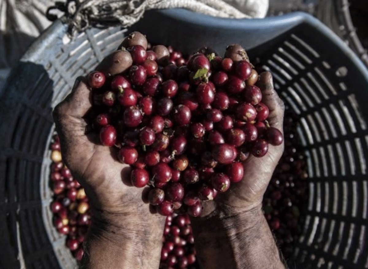 Captura de pantalla 2025-11-20 a las 9.57.20