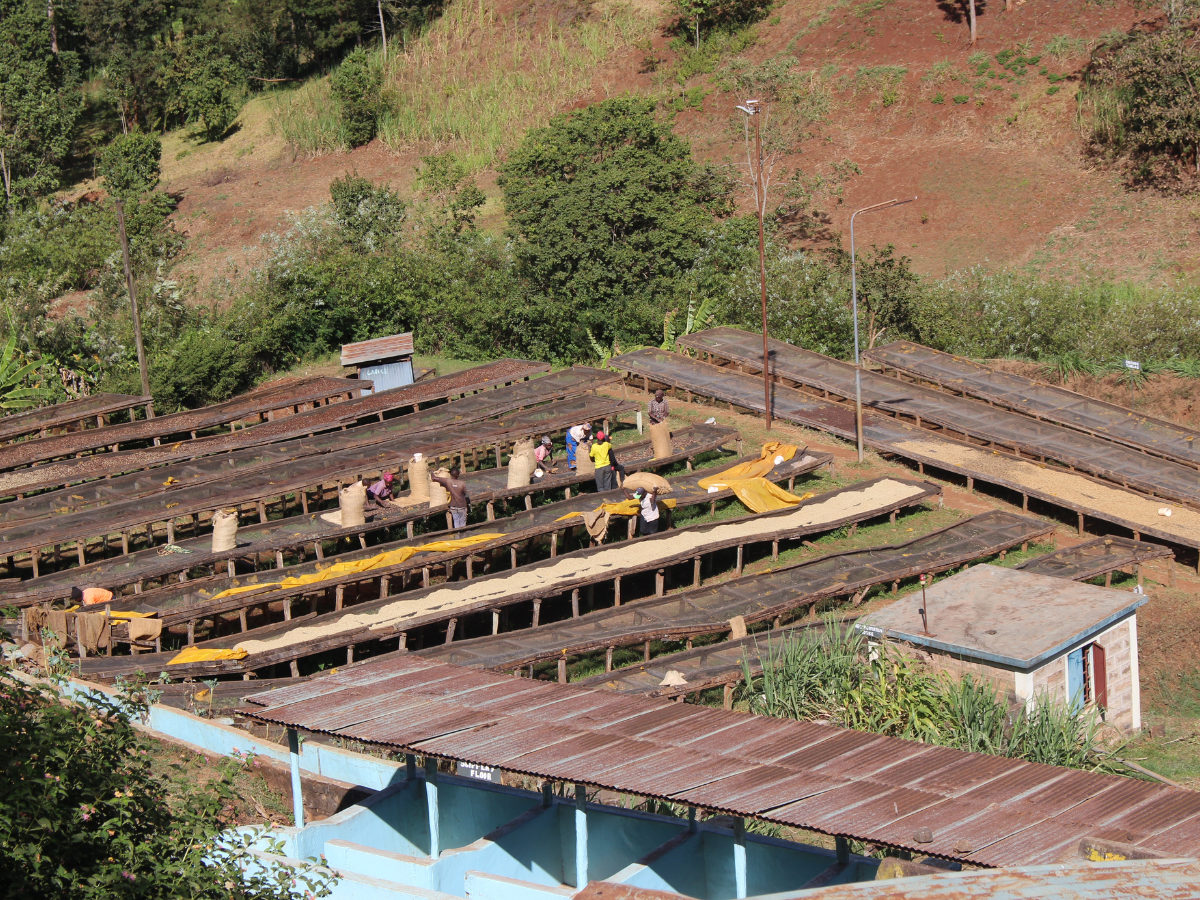 Kirinyaga3 Kirinyaga3