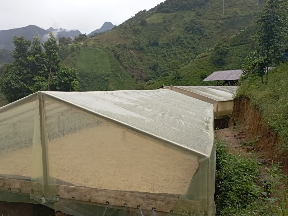 car-altoguayabos-2 car-altoguayabos-2