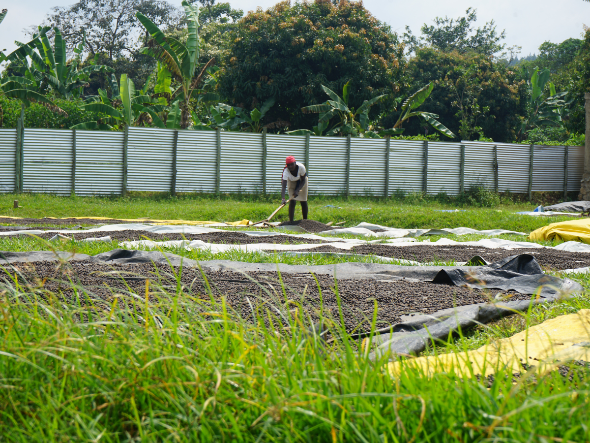 car-muki-3 car-muki-3