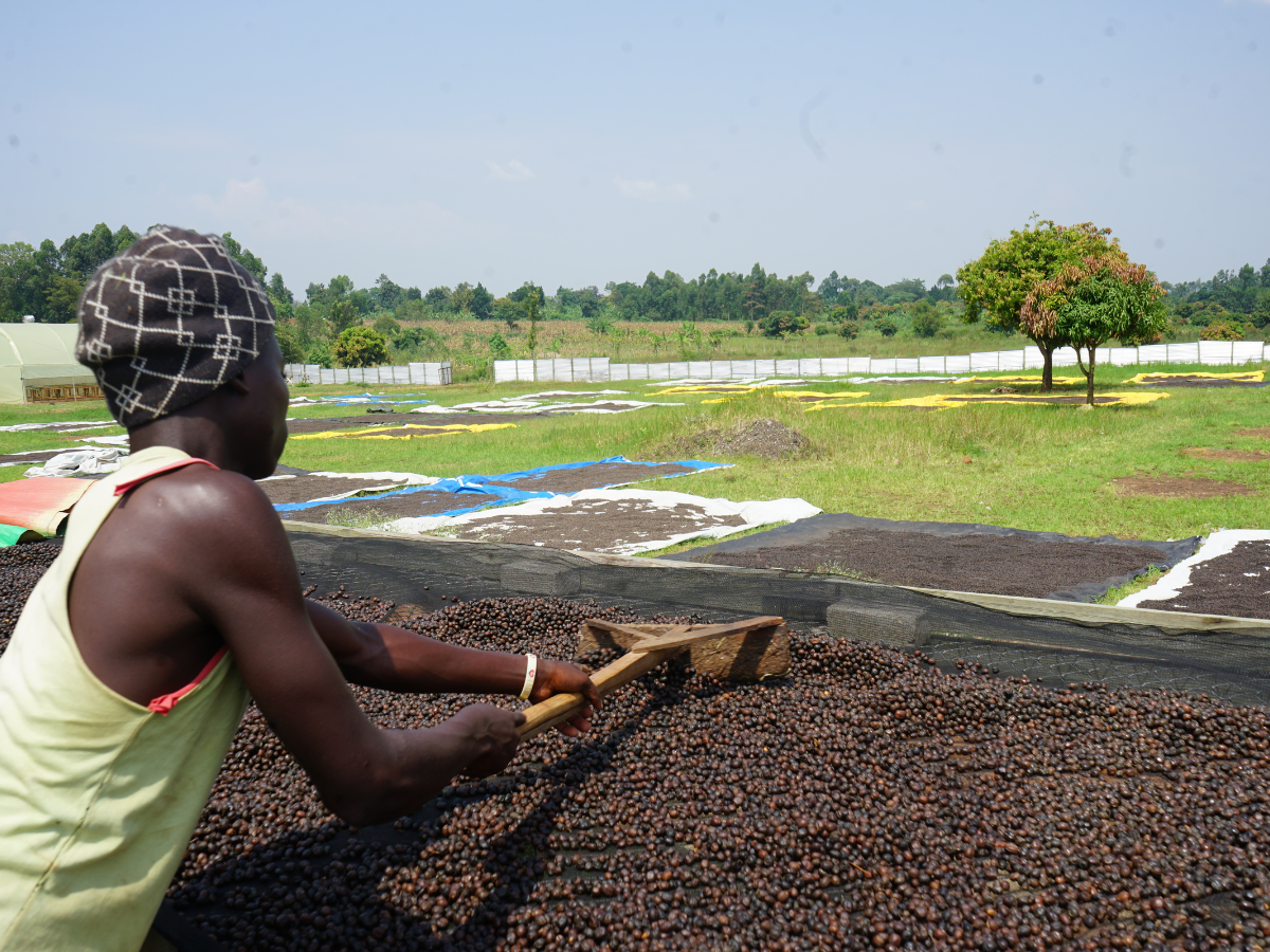 car-muki-5 car-muki-5