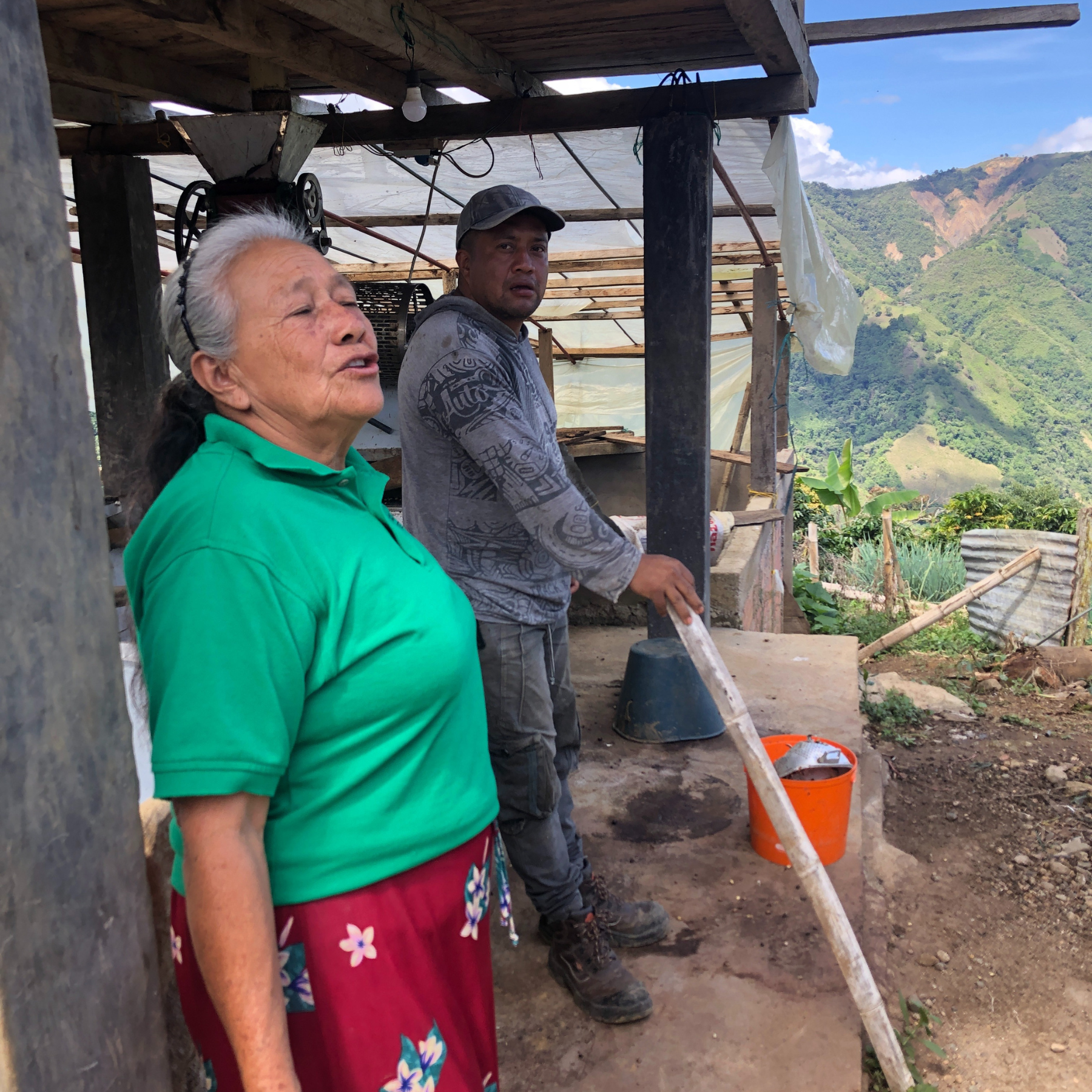 Colombia Altoguayabos <br> Lavado <br> Filtro
