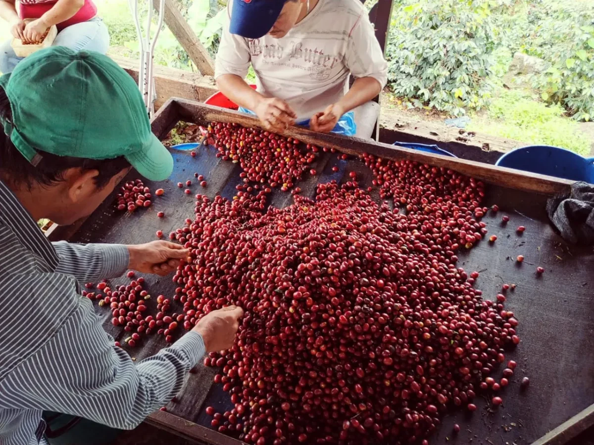 car-3-dos-quebradas car-3-dos-quebradas