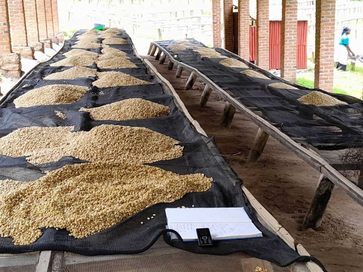 2.Plantilla_Carrusel_Web-1440x2160 2.Plantilla_Carrusel_Web-1440x2160