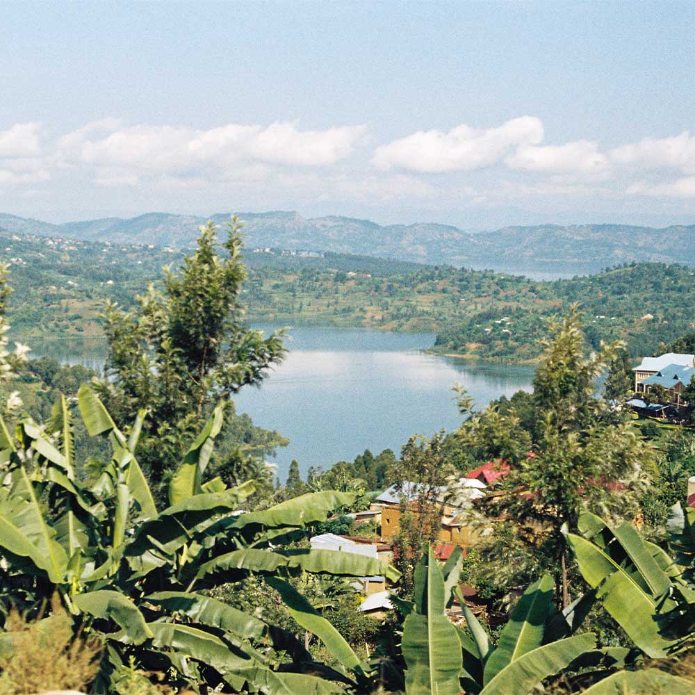 Ruanda Rutsiro <br> Lavado <br> Espresso