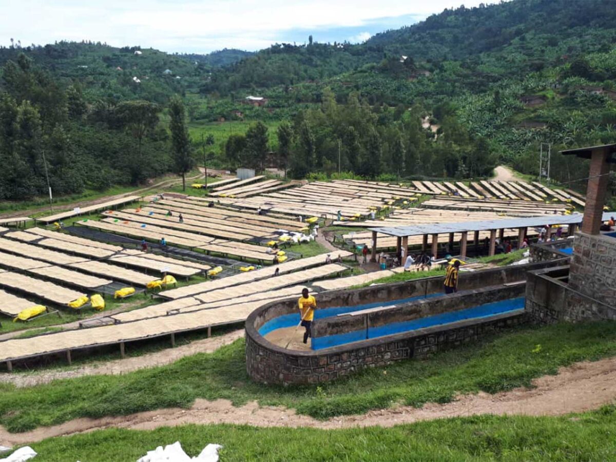 3.Plantilla_Carrusel_Web-1440x2160 3.Plantilla_Carrusel_Web-1440x2160