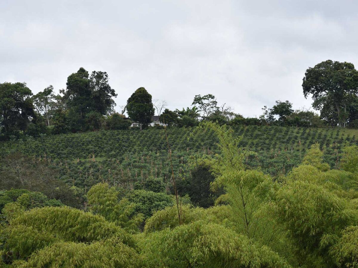 3.Plantilla_Carrusel_Web-1440x2160