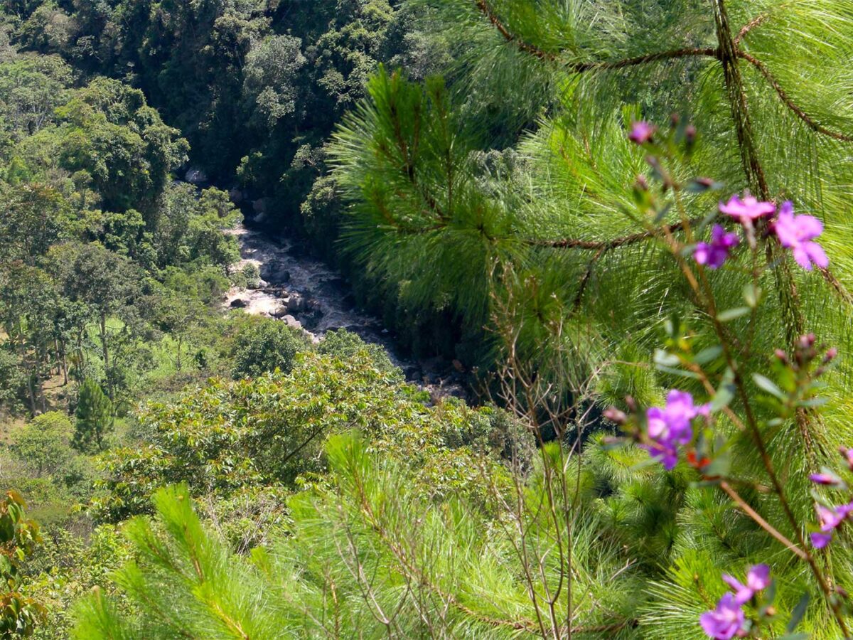 4.Plantilla_Carrusel_Web-1440x2160