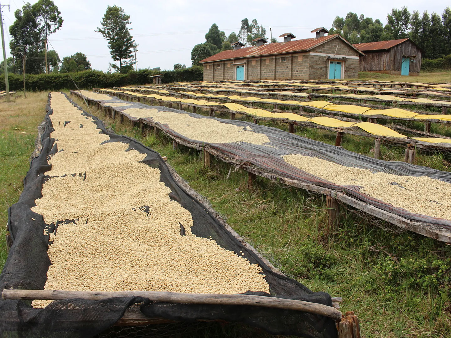 Karindundu4_Carrusel_Web-1200x1200 Karindundu4_Carrusel_Web-1200x1200