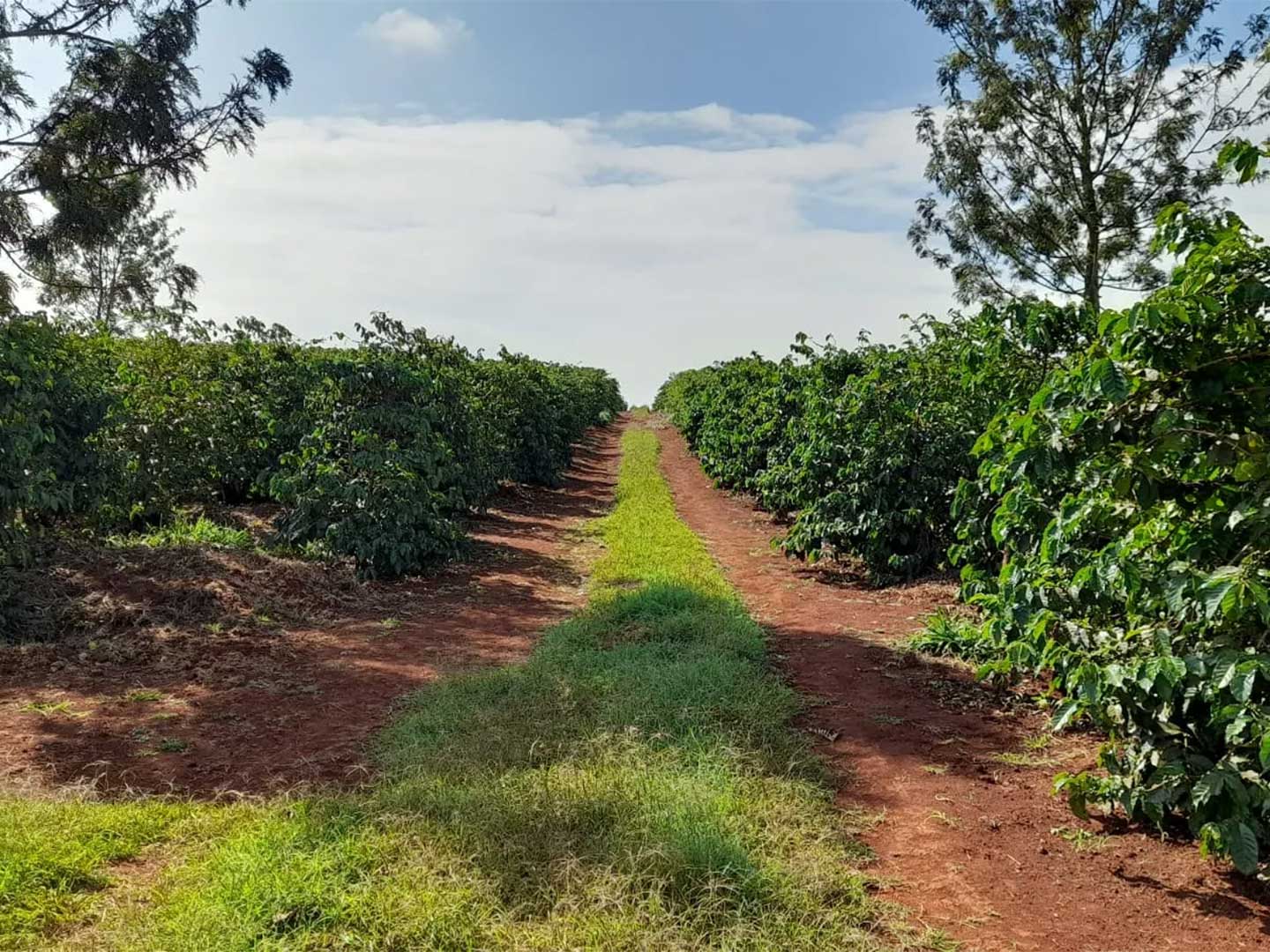 Karindundu5_Carrusel_Web1200x1200 Karindundu5_Carrusel_Web1200x1200