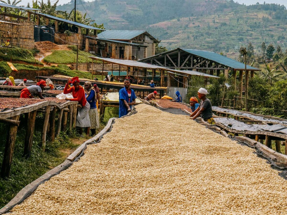 Plantilla_Carrusel_Web-1440x2160 Plantilla_Carrusel_Web-1440x2160