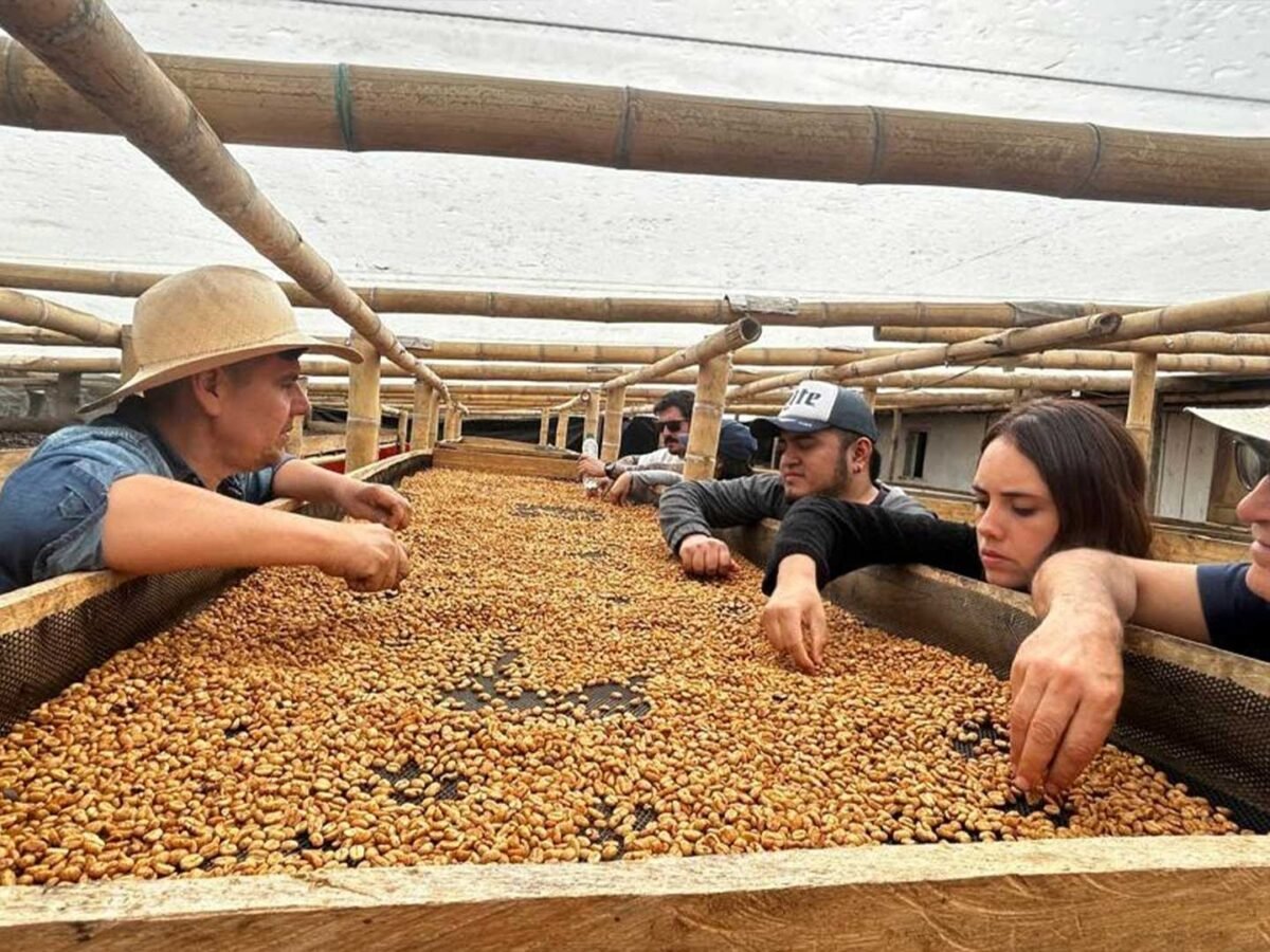 Plantilla_Carrusel_Web-1440x2160