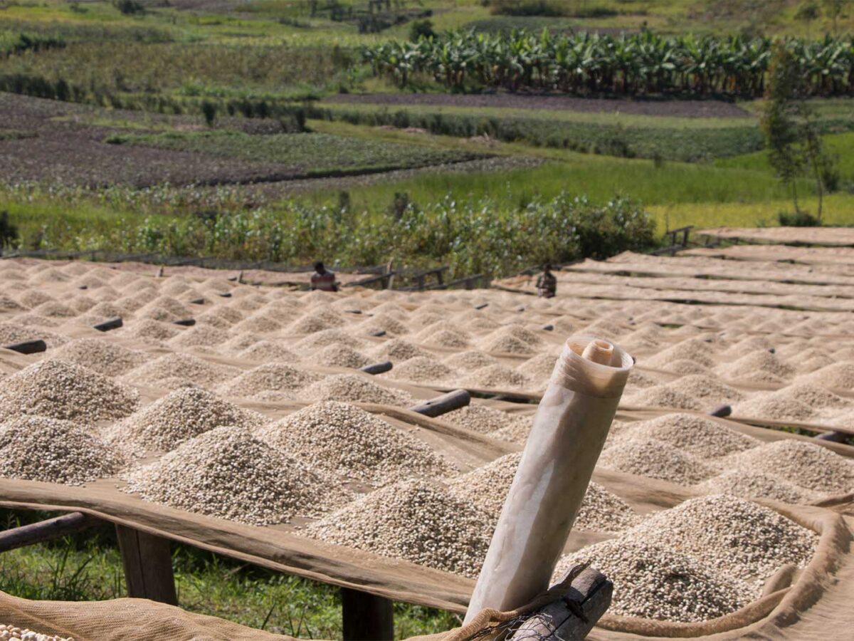 2.Plantilla_Carrusel_Web-1440x2160