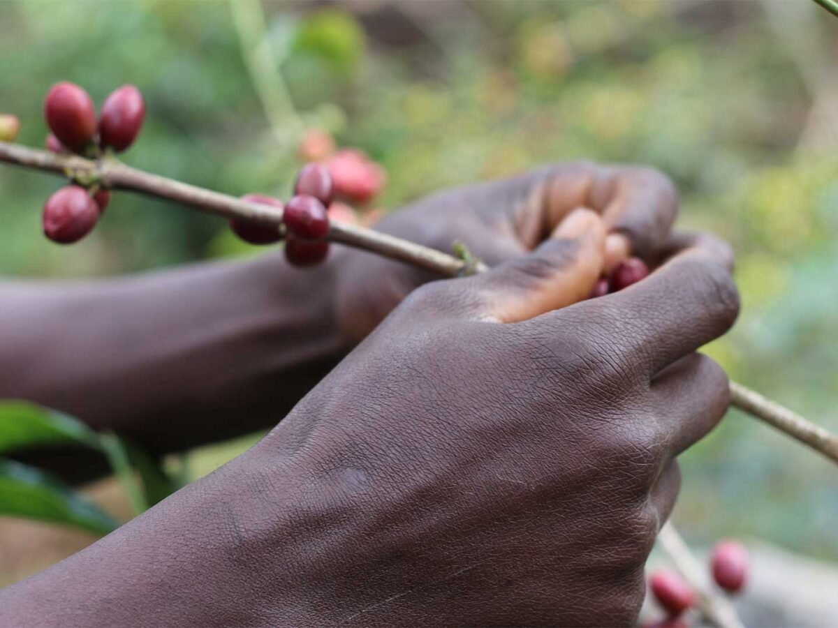 2.Plantilla_Carrusel_Web-1440x2160 2.Plantilla_Carrusel_Web-1440x2160