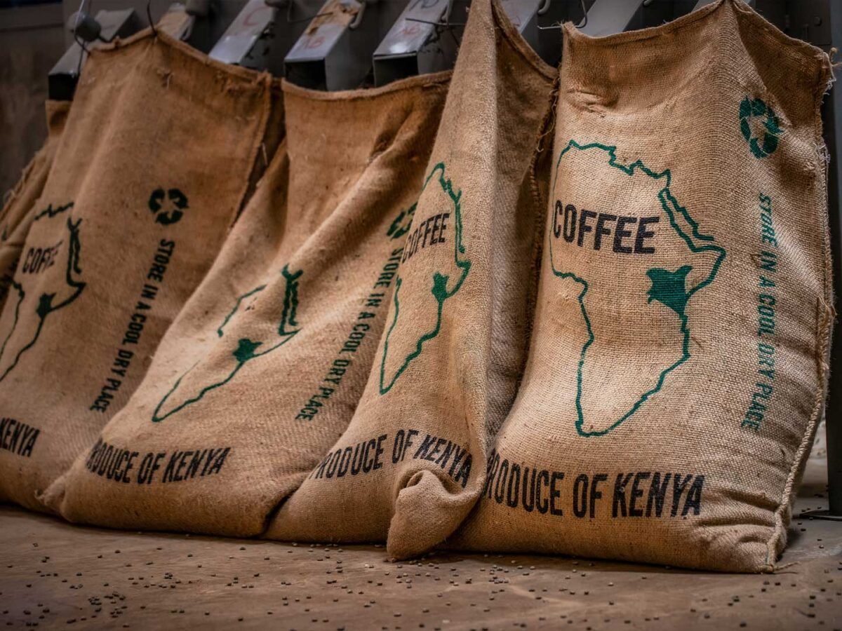 2.Plantilla_Carrusel_Web-1440x2160