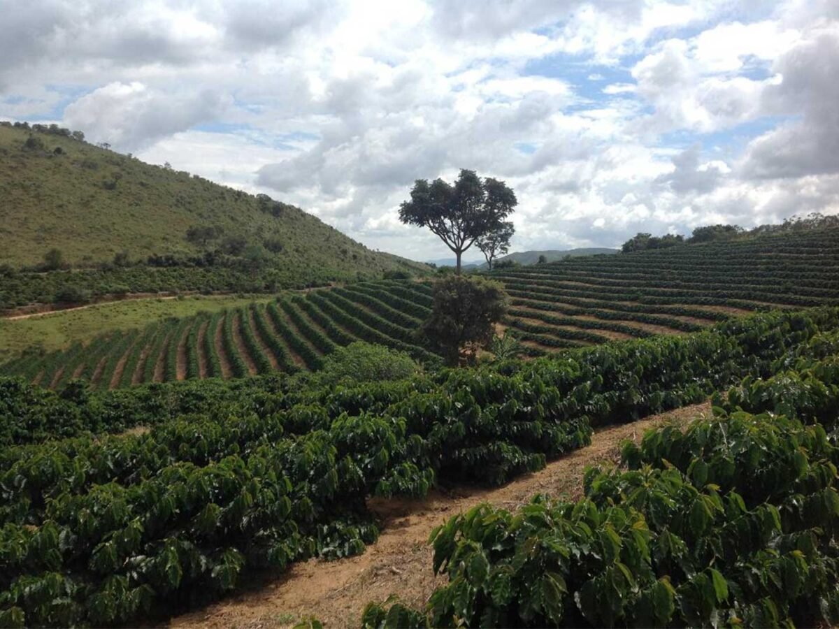 2.Plantilla_Carrusel_Web-1440x2160