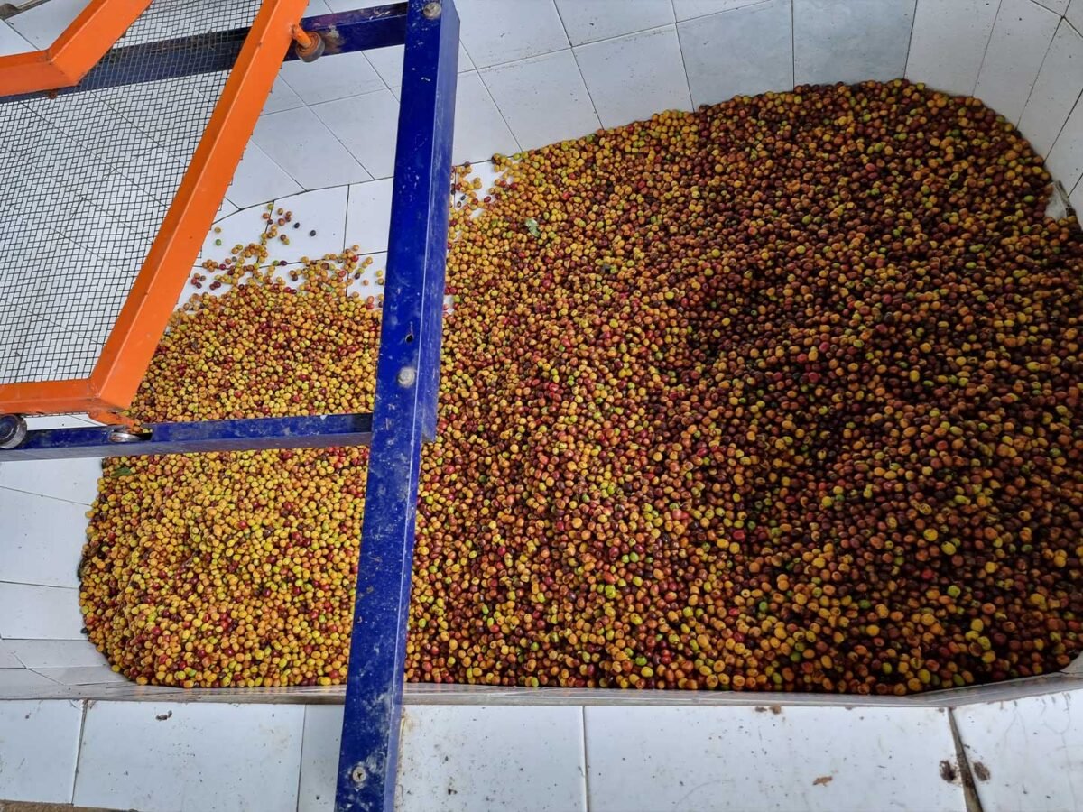 2.Plantilla_Carrusel_Web-1440x2160