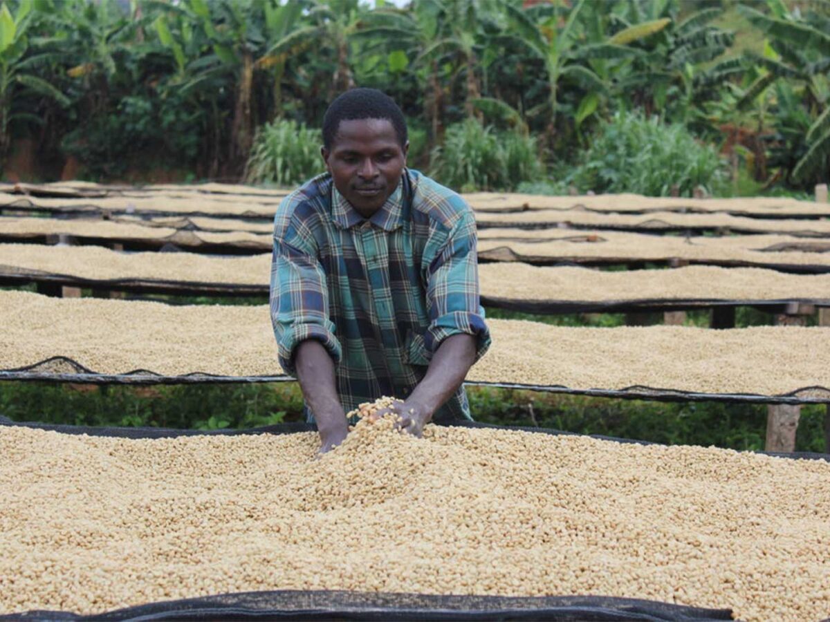 3.Plantilla_Carrusel_Web-1440x2160