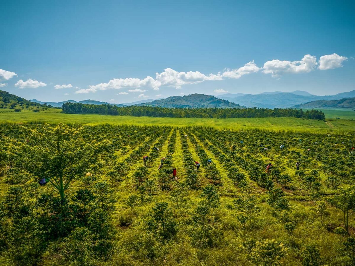 3.Plantilla_Carrusel_Web-1440x2160