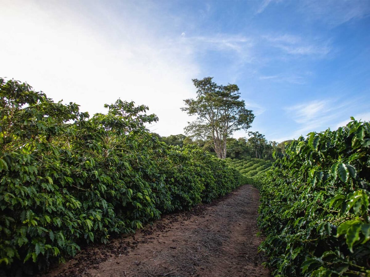 3.Plantilla_Carrusel_Web-1440x2160