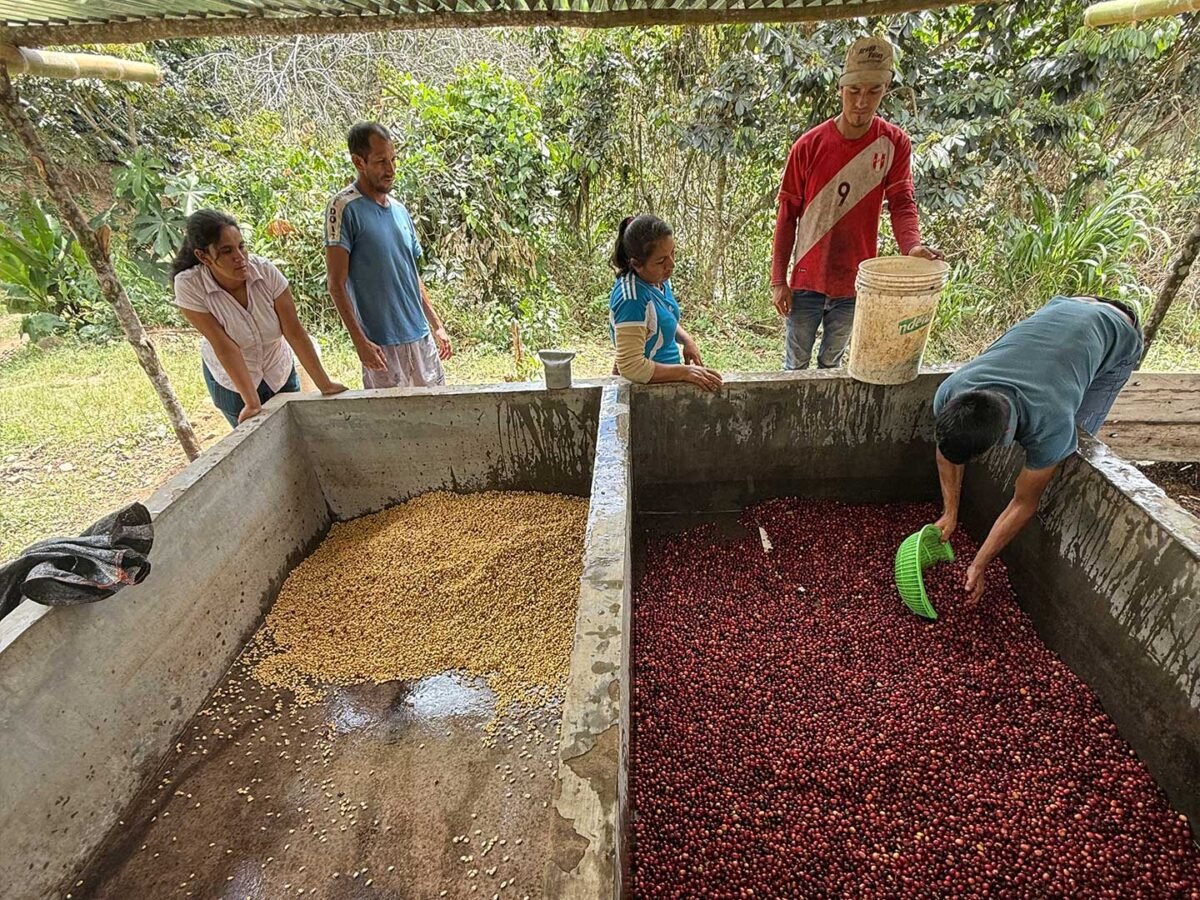 3.Plantilla_Carrusel_Web-1440x2160