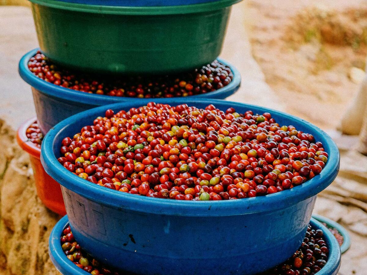 4.Plantilla_Carrusel_Web-1440x2160