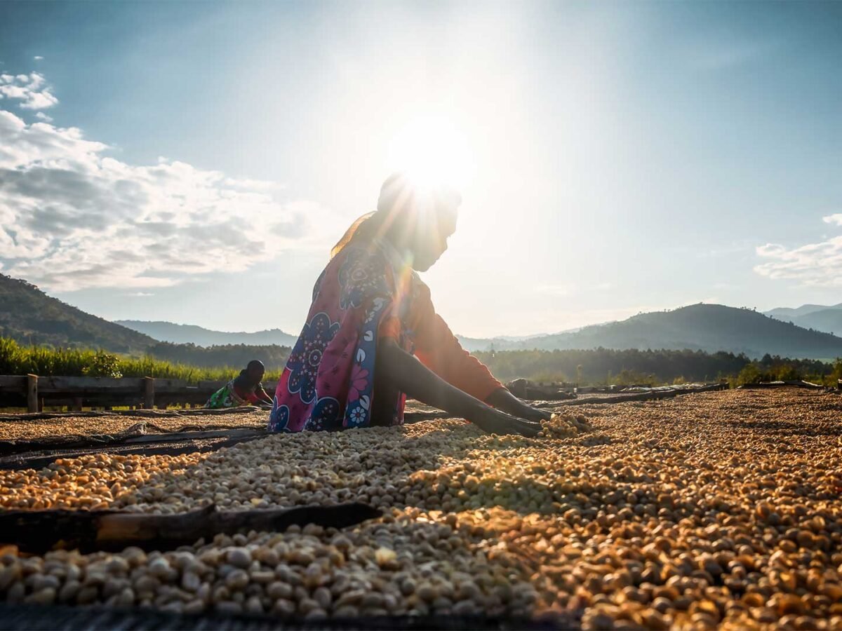 4.Plantilla_Carrusel_Web-1440x2160