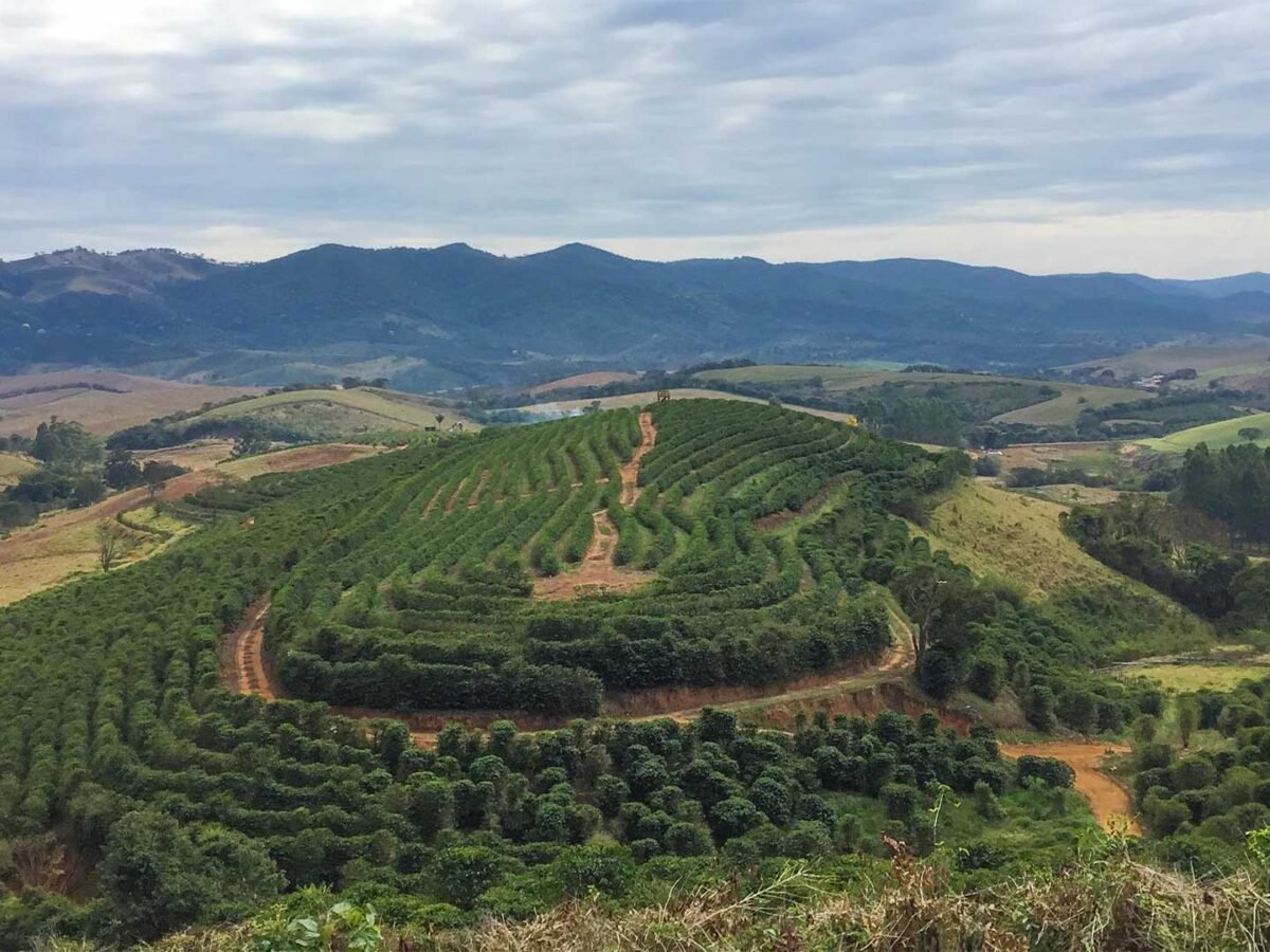 4.Plantilla_Carrusel_Web-1440x2160