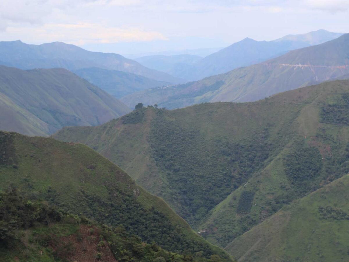 4.Plantilla_Carrusel_Web-1440x2160