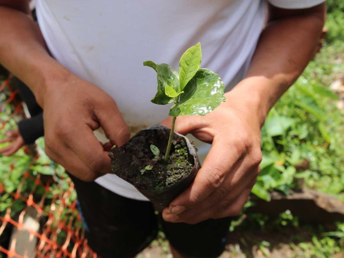 Plantilla_Carrusel_Web-1440x2160