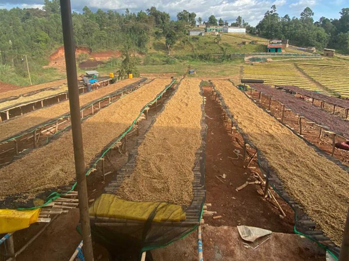 Plantilla_Carrusel_Web-1440x2160 Plantilla_Carrusel_Web-1440x2160