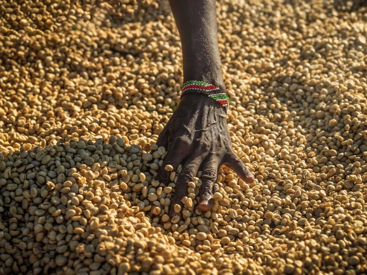 Plantilla_Carrusel_Web-1440x2160