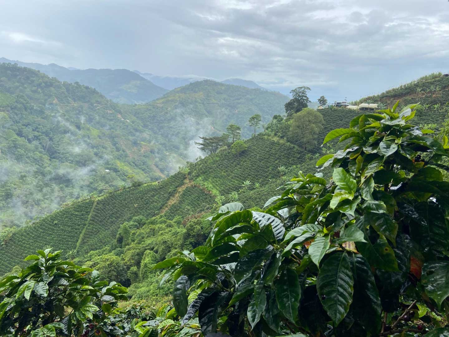 Plantilla_Carrusel_Web-1440x2160