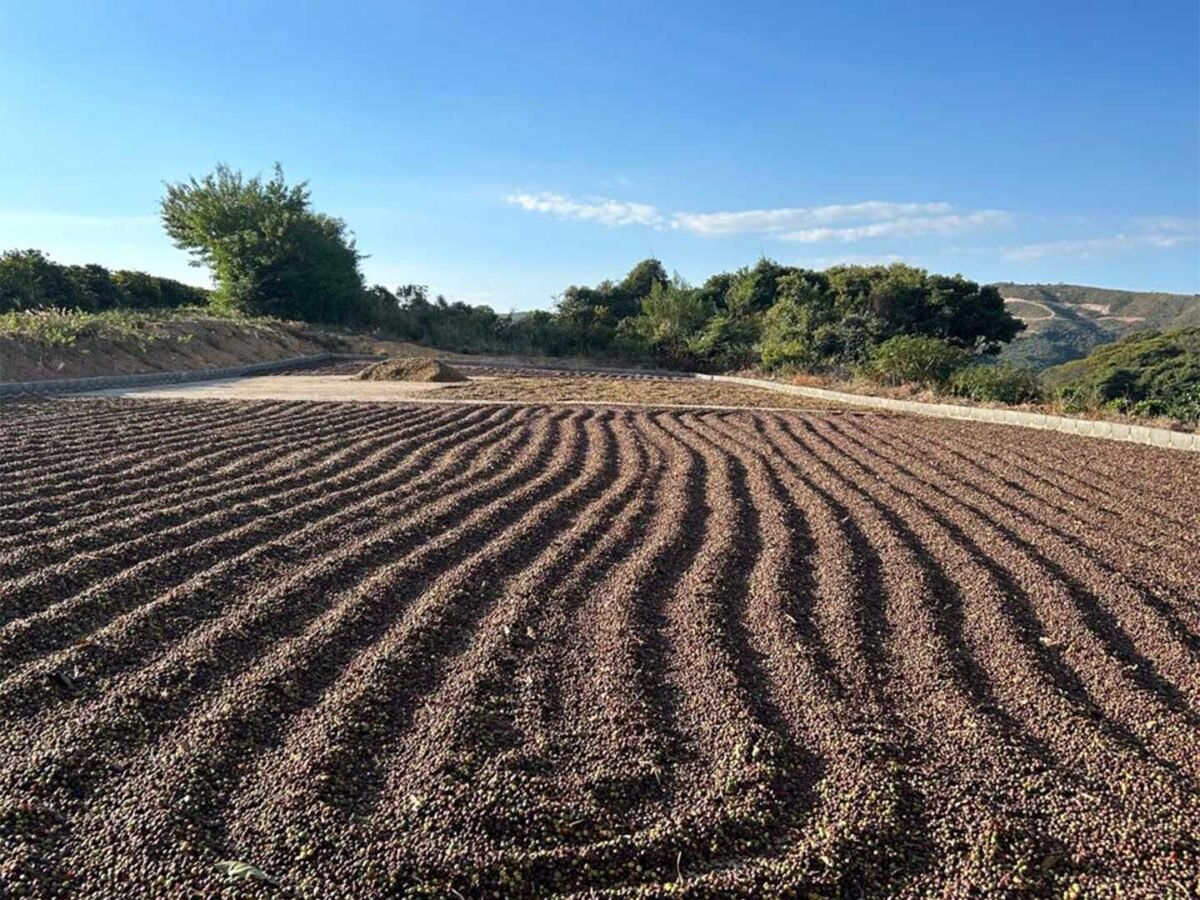 Plantilla_Carrusel_Web-1440x2160