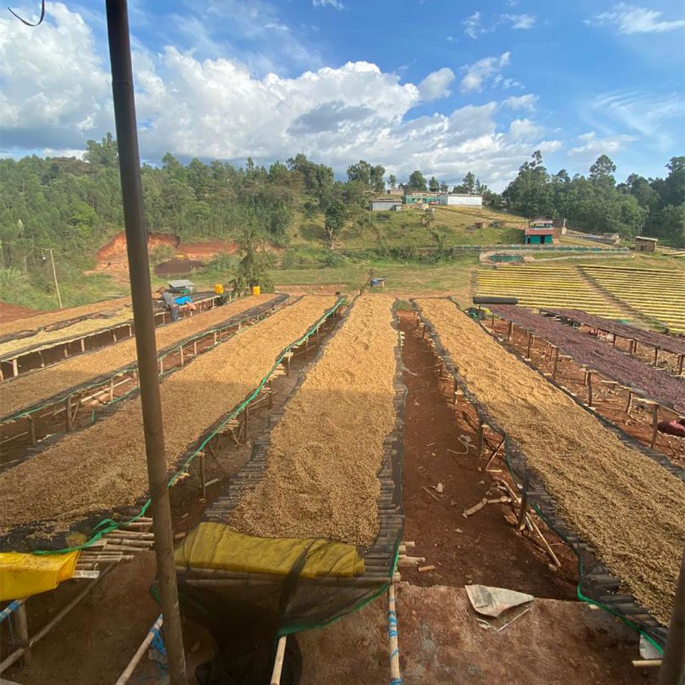 Etiopía Korate <br> Lavado<br> Filtro