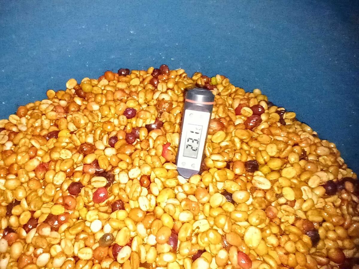 2.Plantilla_Carrusel_Web-1440x2160