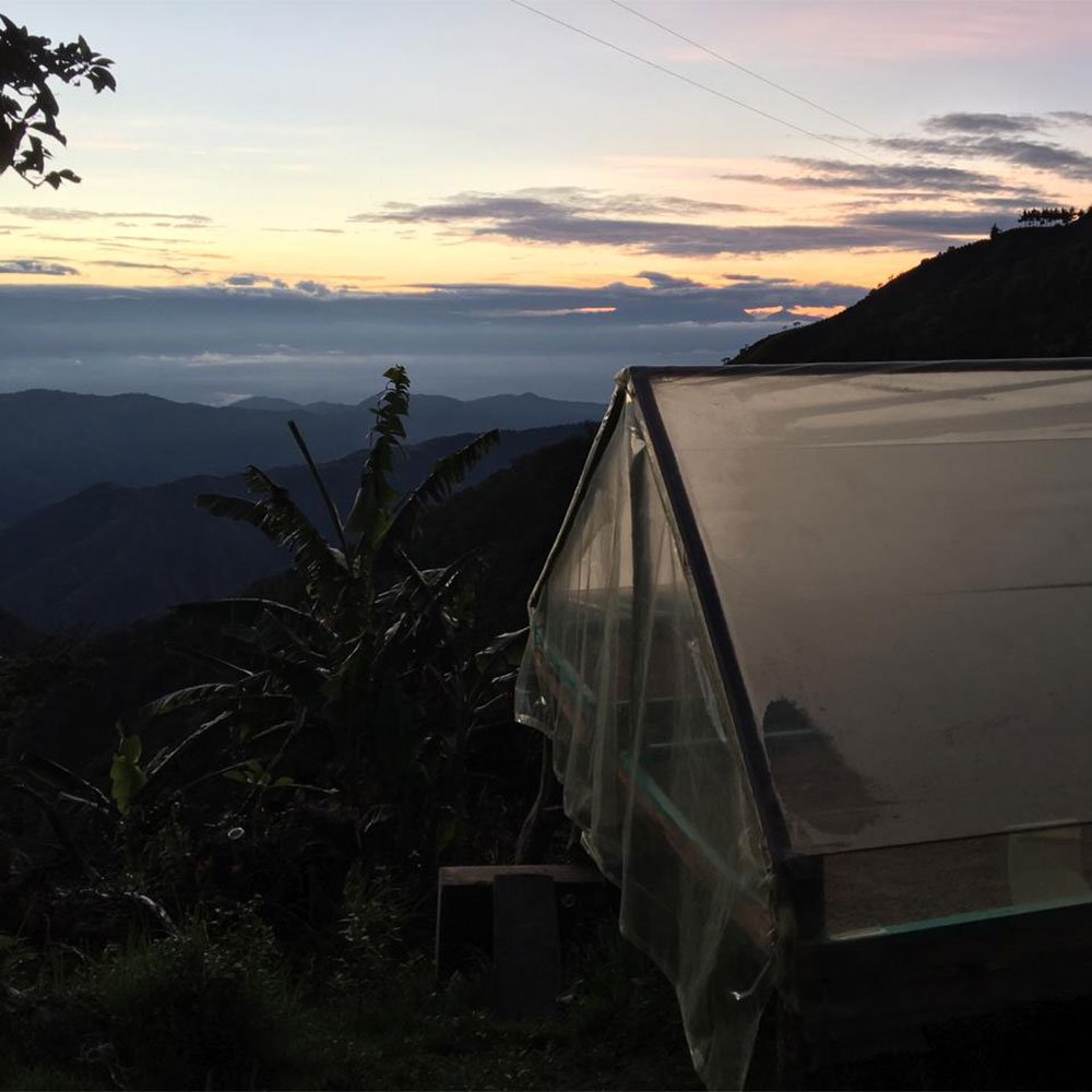 Colombia Pitalito <br> Natural<br> Espresso