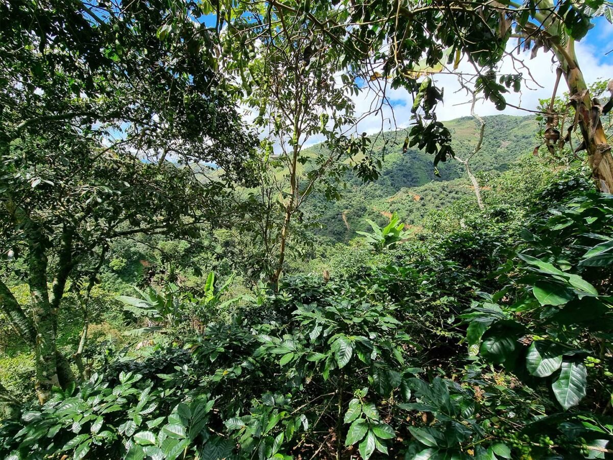 3.Plantilla_Carrusel_Web-1440x2160