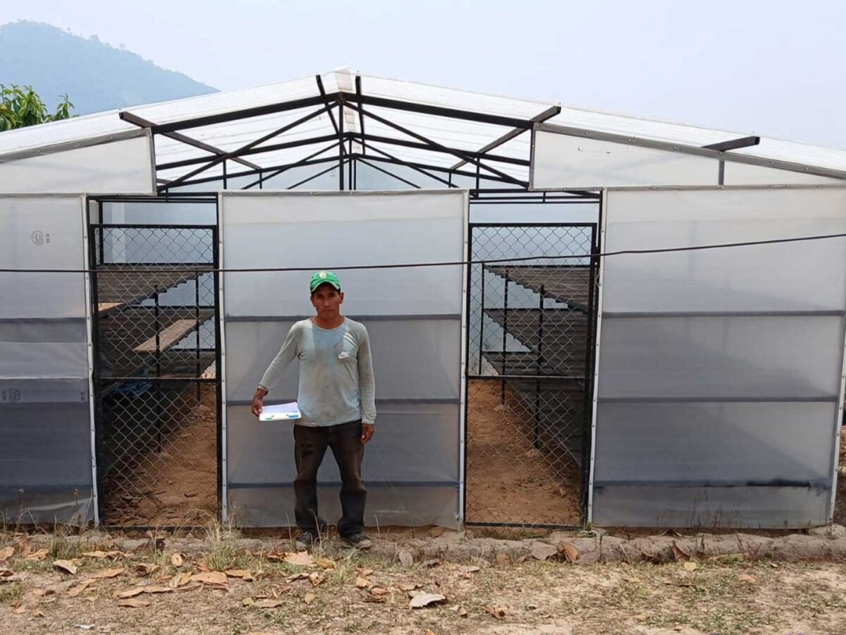 4.Plantilla_Carrusel_Web-1440x2160