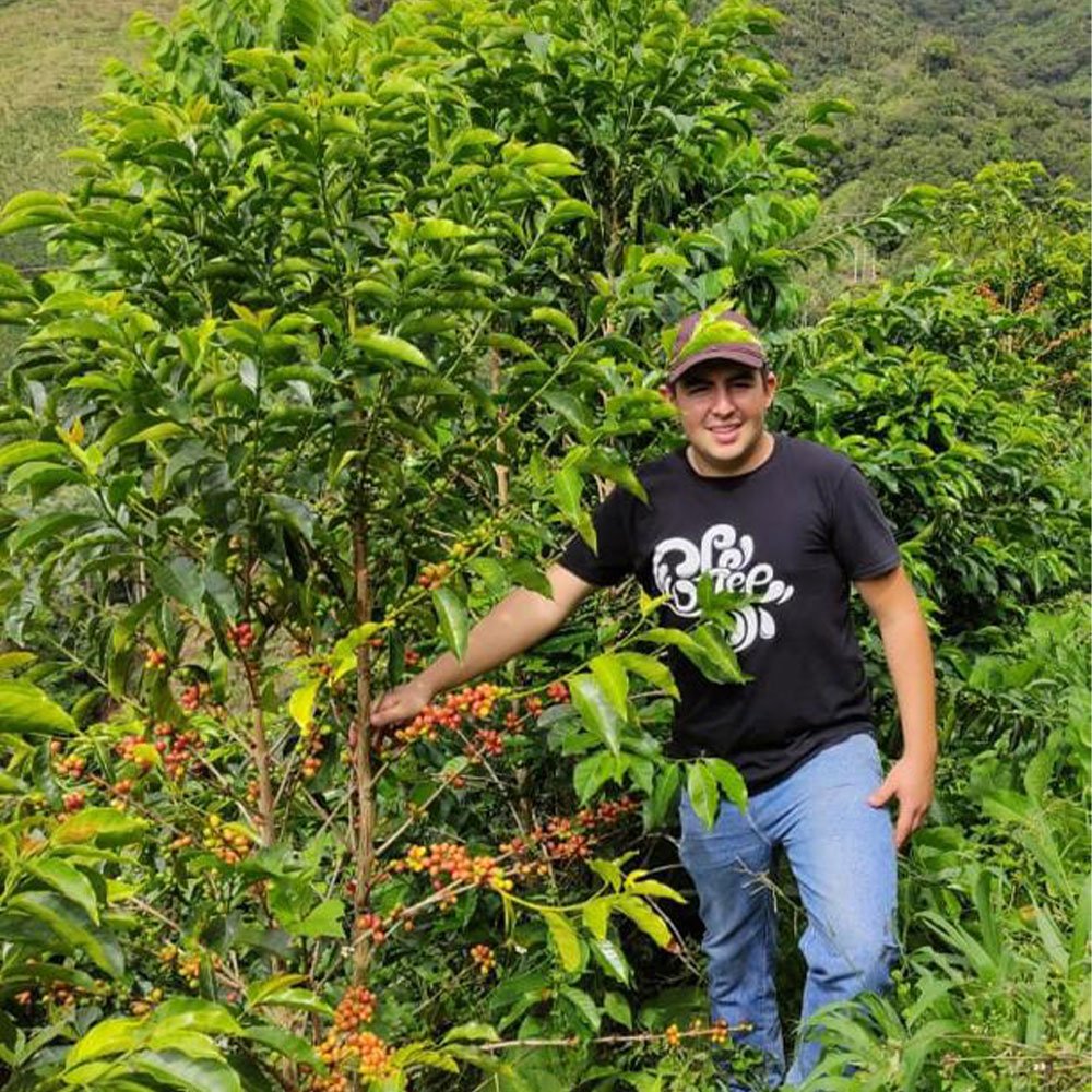 Colombia Las Flores <br> Natural<br> Filtro