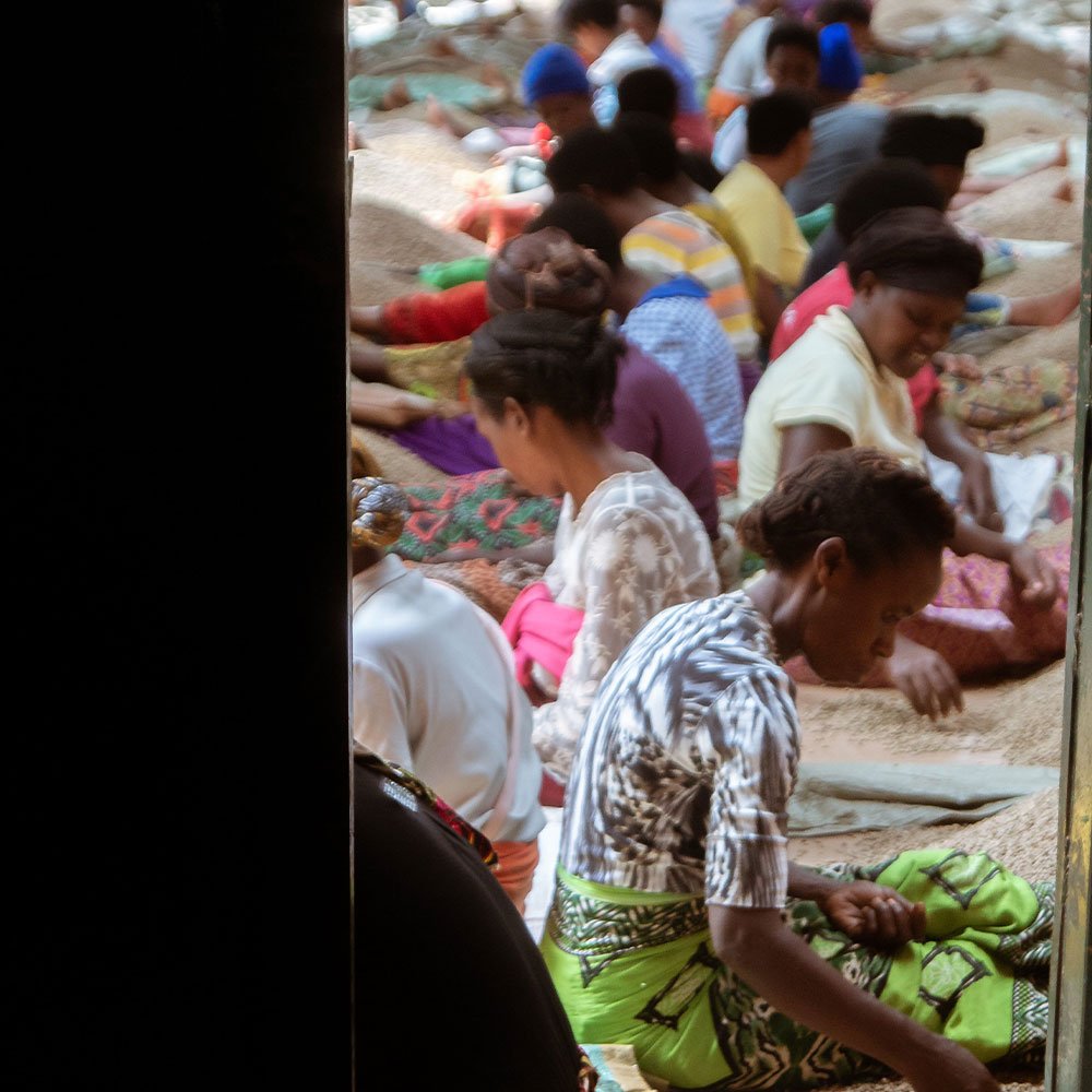 Ruanda Isimbi Kivu <br> Lavado<br> Filtro