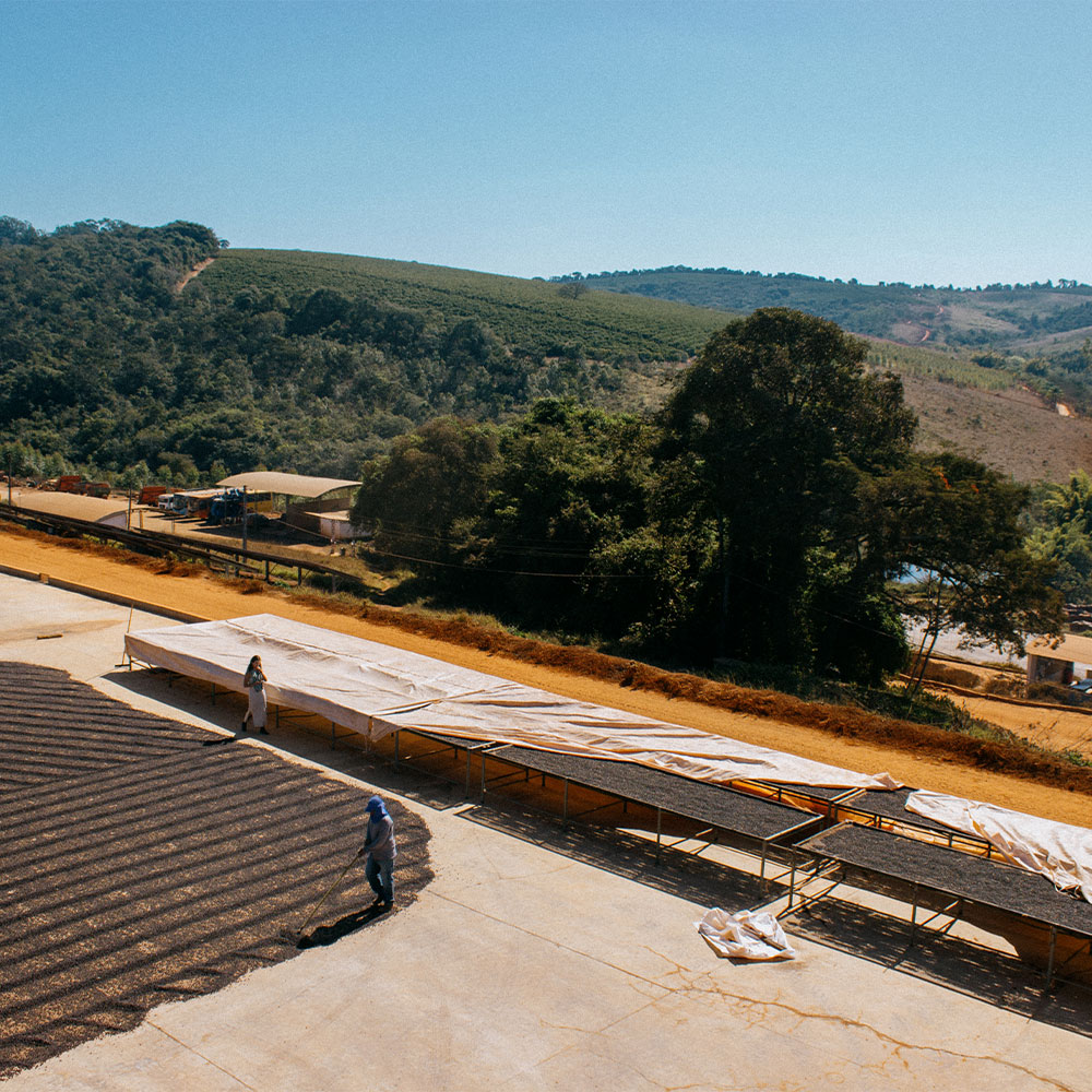 Brasil Fazenda Boa Vista<br> Natural <br> Espresso