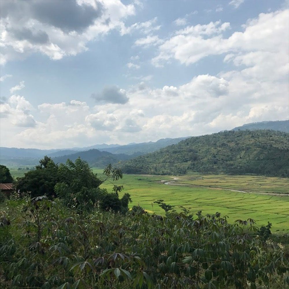 Ruanda Isimbi Kivu <br> Lavado<br> Filtro