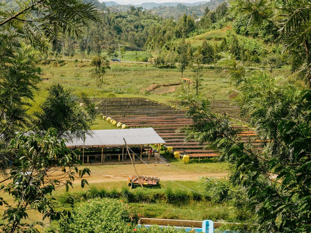 4.Plantilla_Carrusel_Web-1440x2160 4.Plantilla_Carrusel_Web-1440x2160