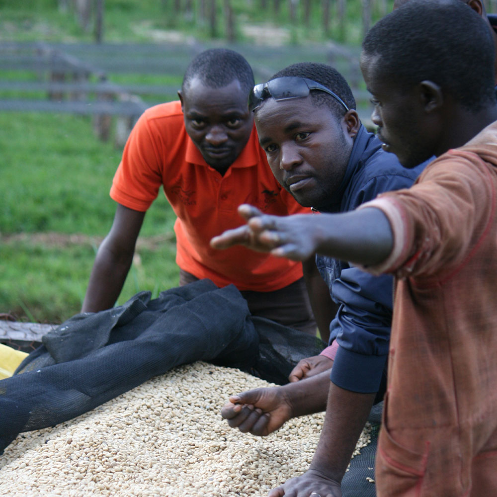 Burundi Butegana<br> Lavado<br> Espresso - Imagen 4